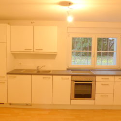 Moderne und grosszügige 1.5-Zimmer Wohnung