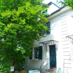 Einfamilienhaus mit wunderschönem Garten und Privatsphäre